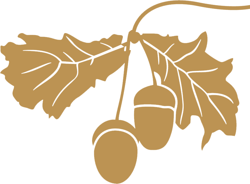 secondary-image