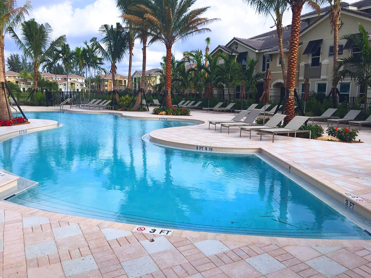 A large swimming pool surrounded by palm trees and chairs.