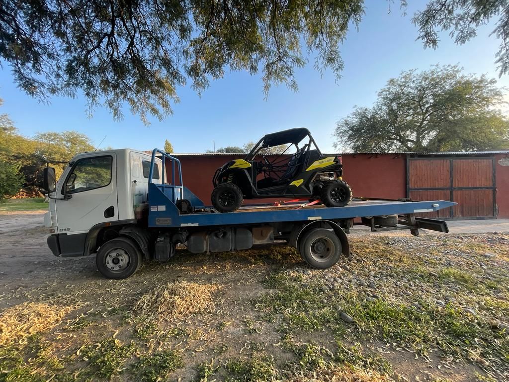 Grúas y remolques de vehículos