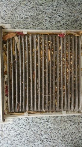 Pollen Filter replacements