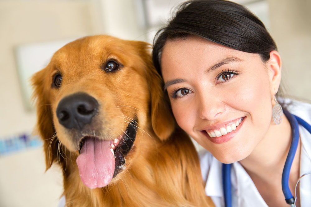 A female veterinarian is posing for a picture with a dog.
