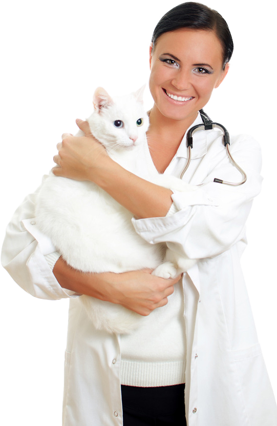 A female doctor is holding a white cat in her arms.