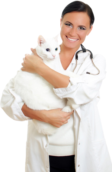 A female doctor is holding a white cat in her arms.