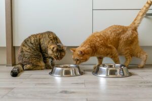 Two cats are eating from metal bowls in a kitchen.