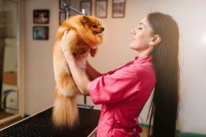 A woman is holding a small dog in her arms.