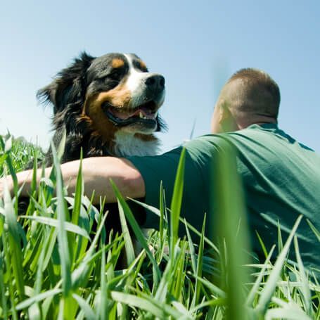 A man and a dog are laying in the grass.