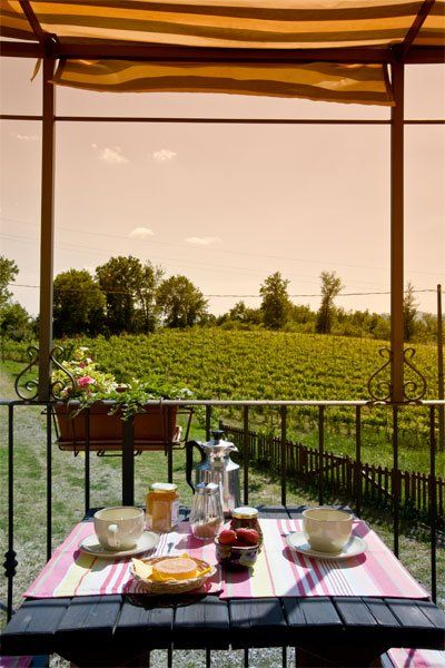 mele in una campagna