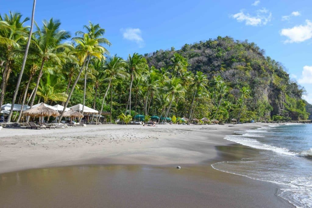 A beach with palm trees and a mountain in the background