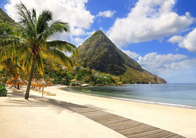 A tropical beach with palm trees and a mountain in the background