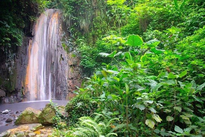 A waterfall in the middle of a lush green forest.