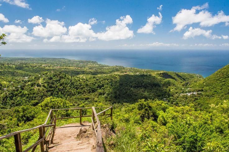 A wooden staircase leading up to a viewpoint overlooking a lush green forest and the ocean.