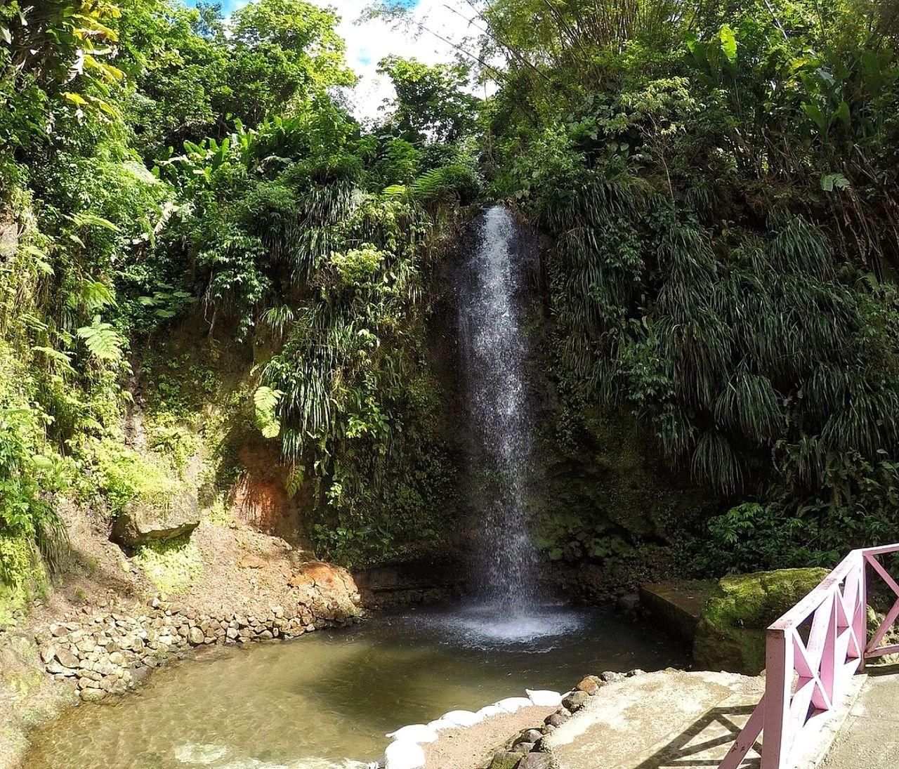 A waterfall in the middle of a lush green forest