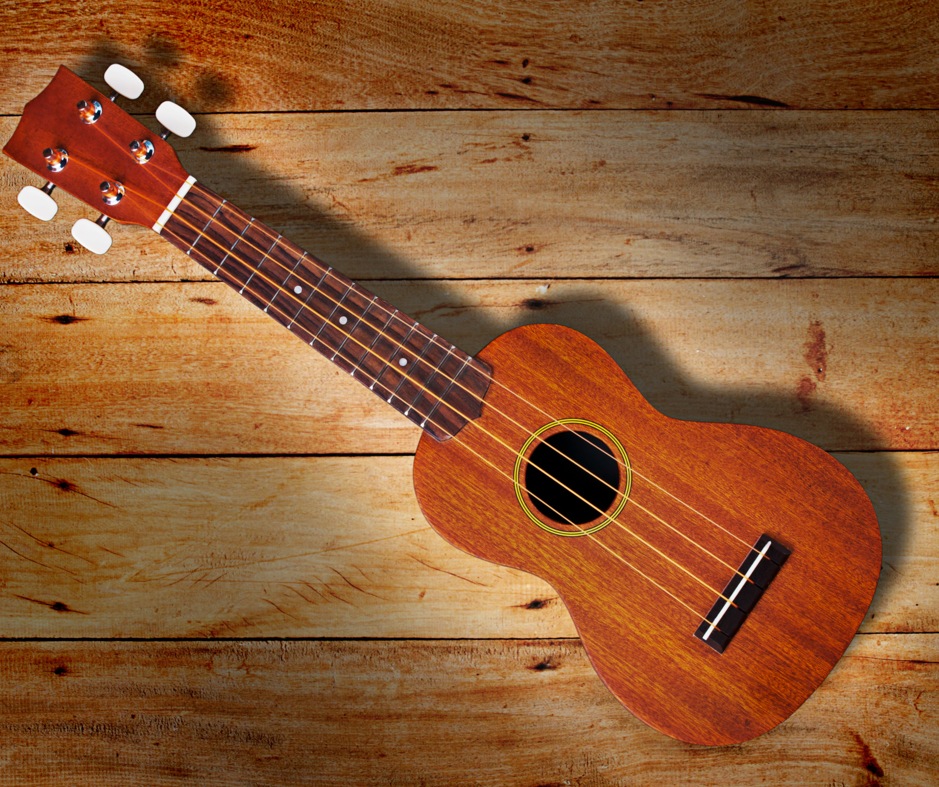 The History of the Ukulele