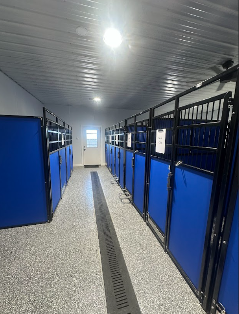 Interior of a dog boarding facility with blue walls and black metal enclosures. A door is at the end of the hall.
