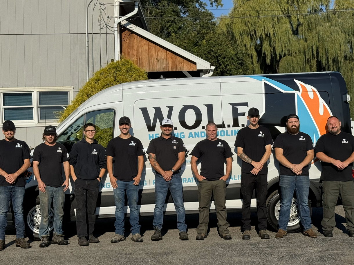 A group of men are standing in front of a wolf van.