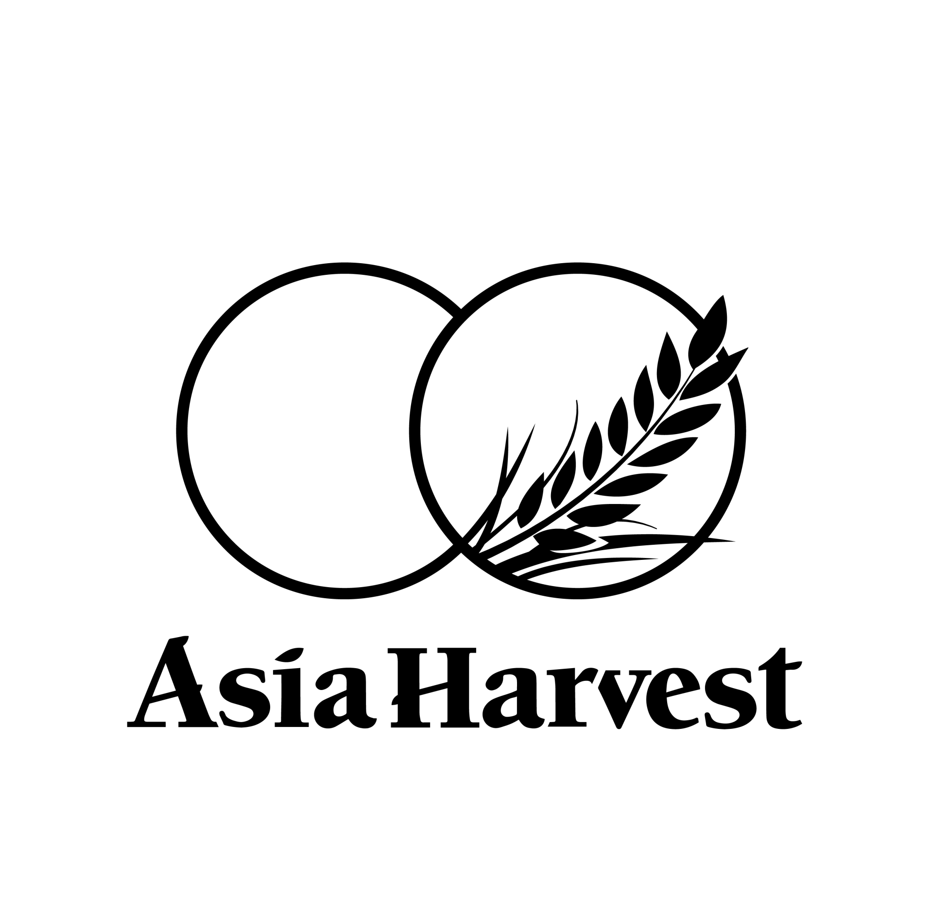 Asia Harvest