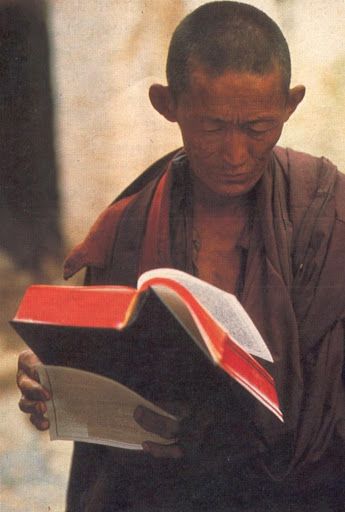 A Tibetan monk intently reading a Bible.