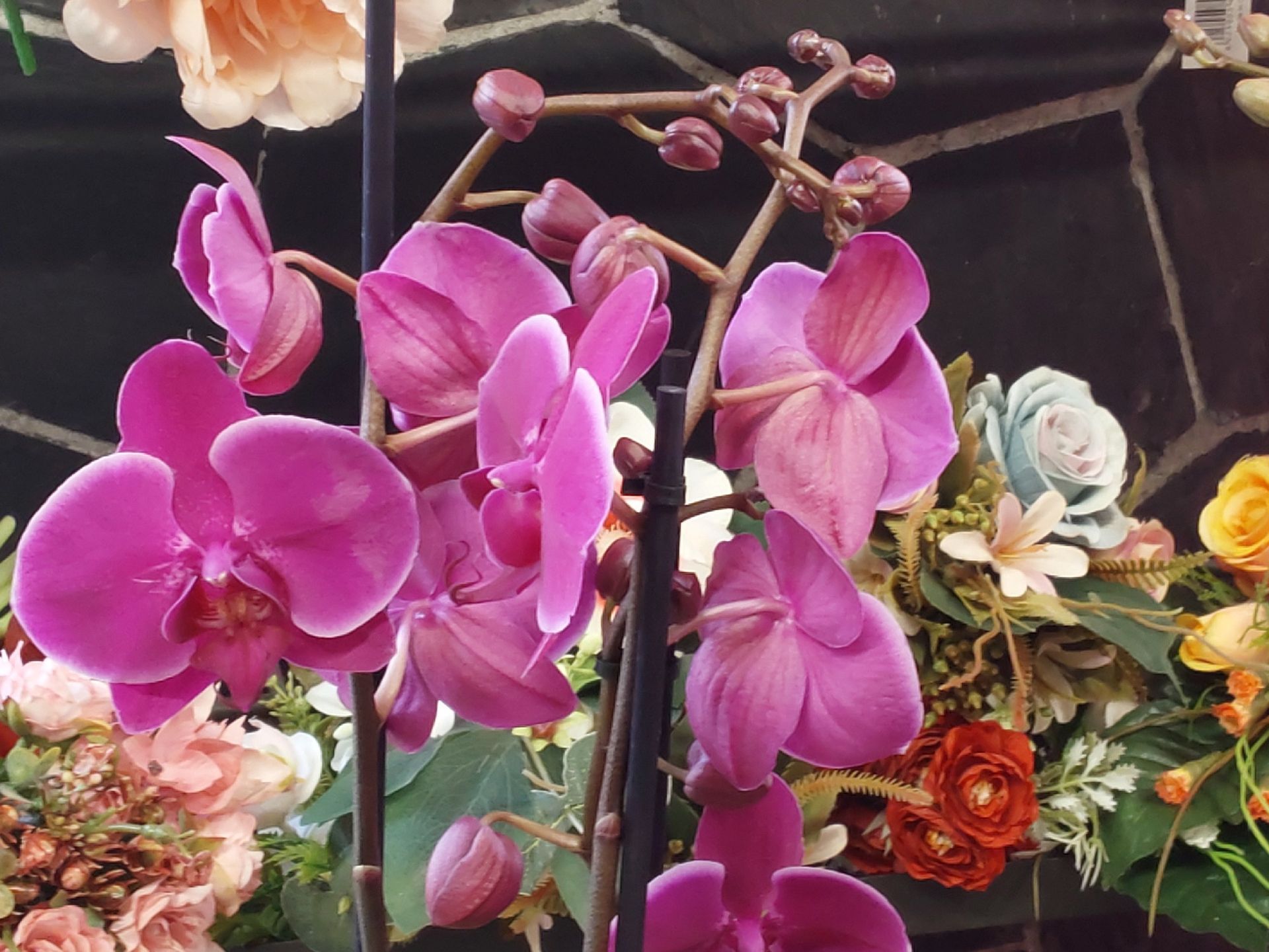 fiori per eventi Sommariva Sestri Ponente Genova