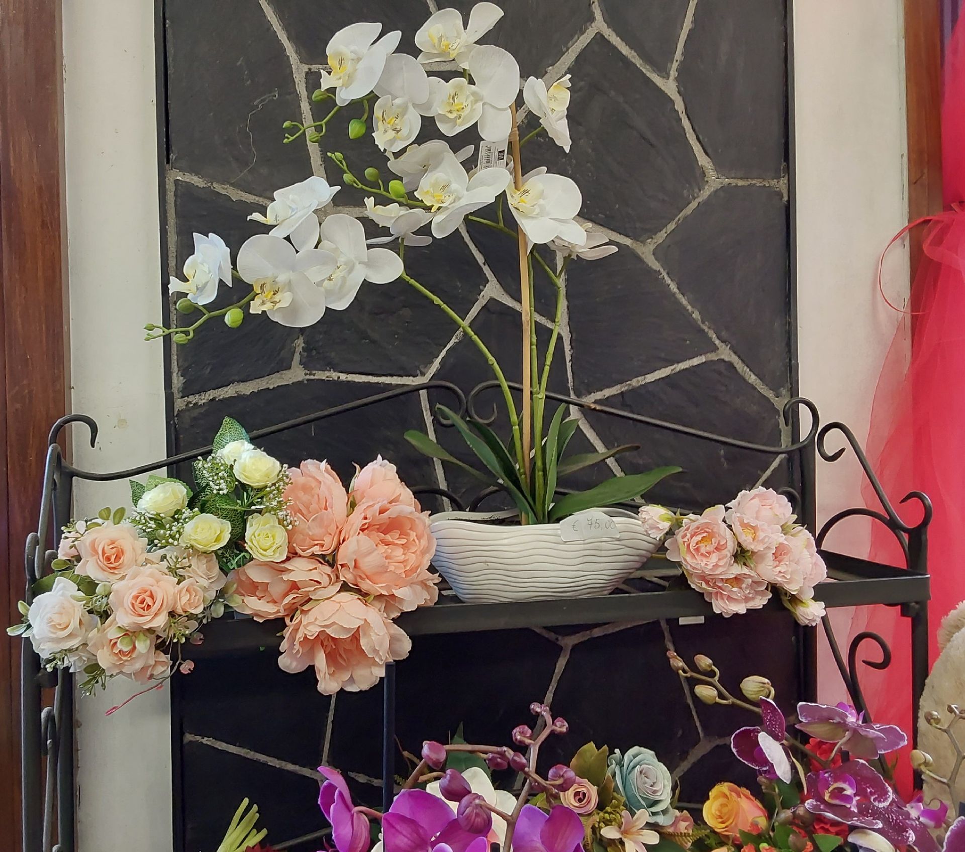 orchidee Sestri Ponente Genova