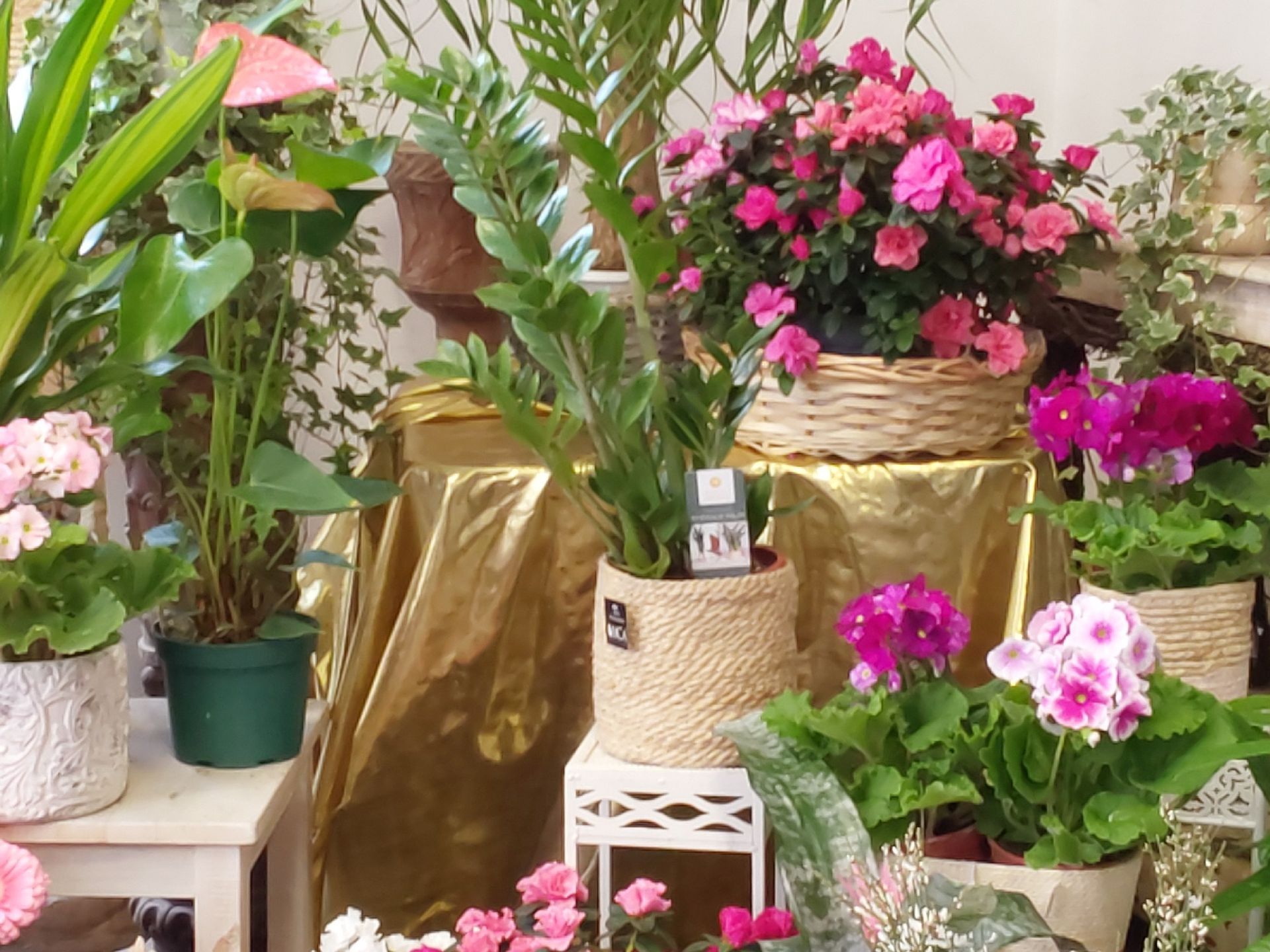 composizioni floreali Sestri Levante Genova