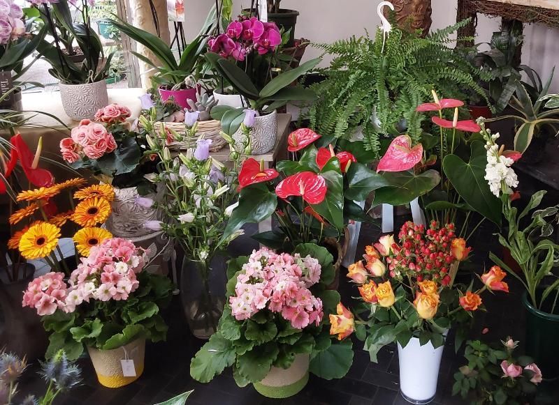 Fioraio Sestri Ponente Genova