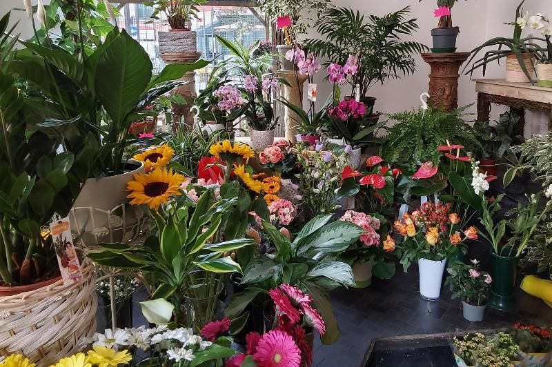 fiori per festa del papà e Mamma Sestri Ponente Genova