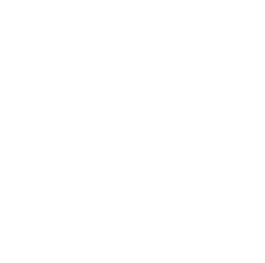 Elfstone Silver & Gold logo