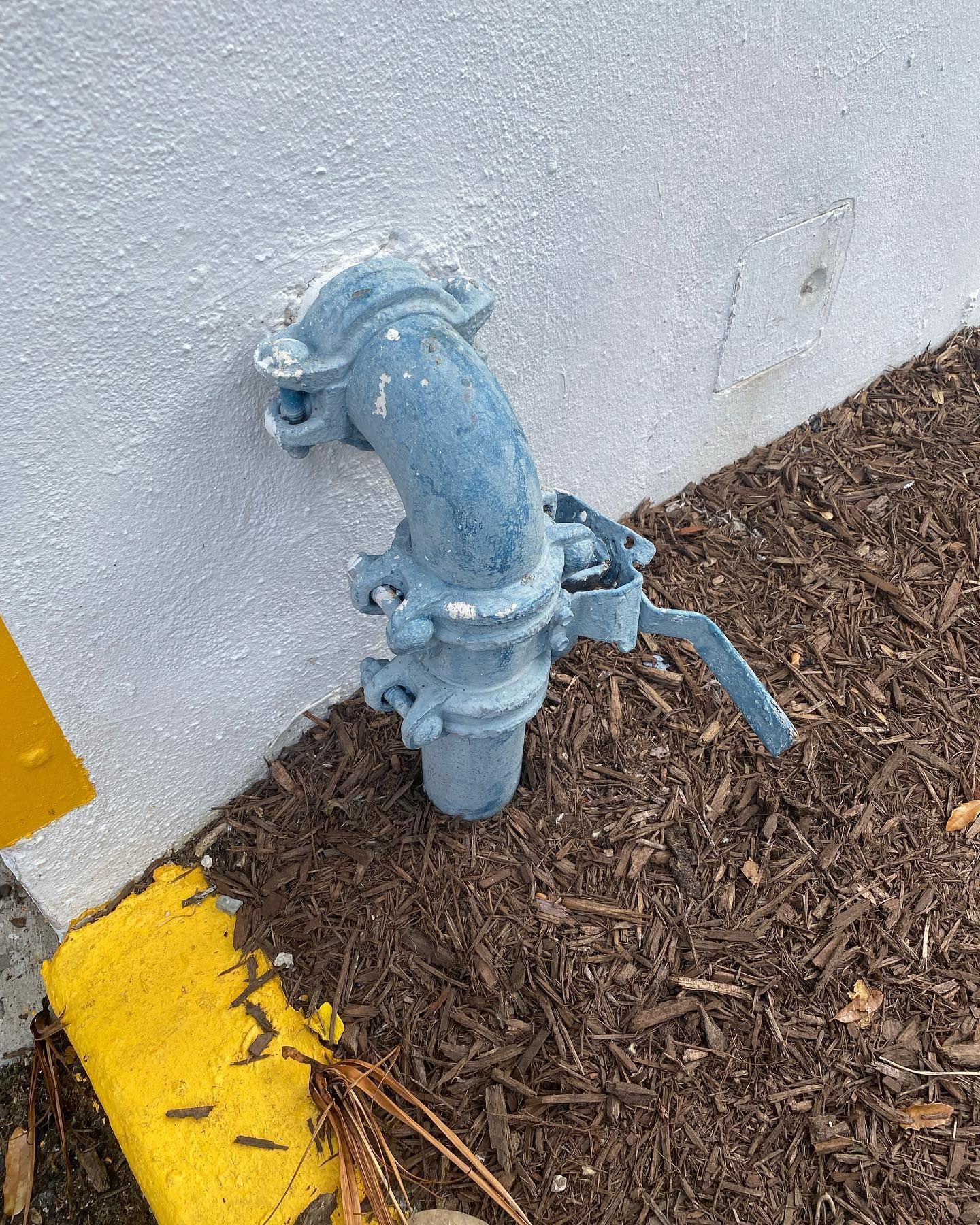 Blue water valve on a white wall, next to yellow markings and brown mulch.