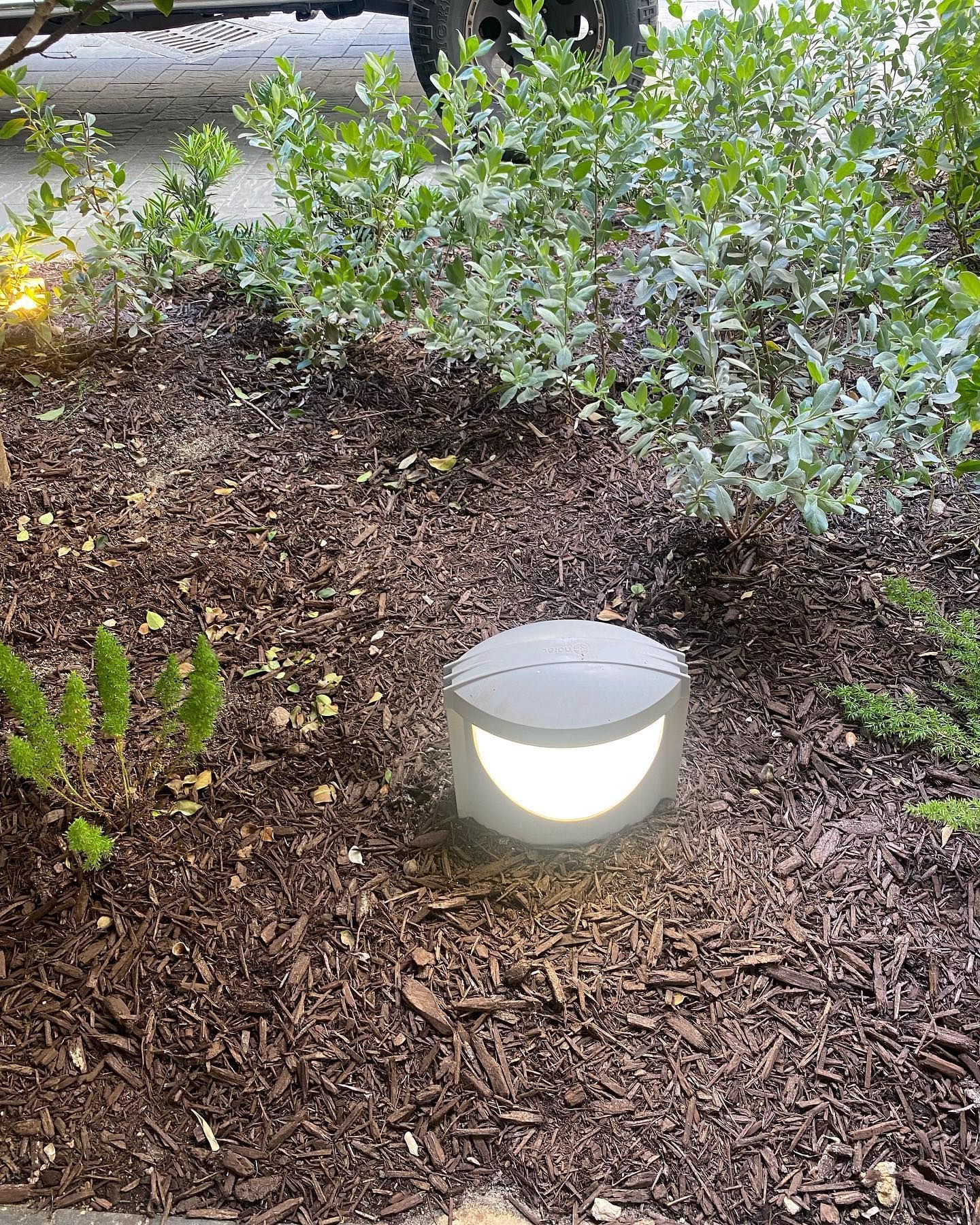 A round, lit landscape light in a mulch bed with green and white plants in the background.