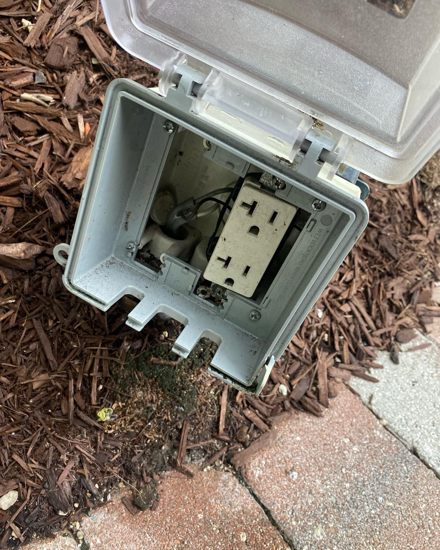 Open gray outdoor electrical outlet box with exposed wires, on brown mulch and bricks.