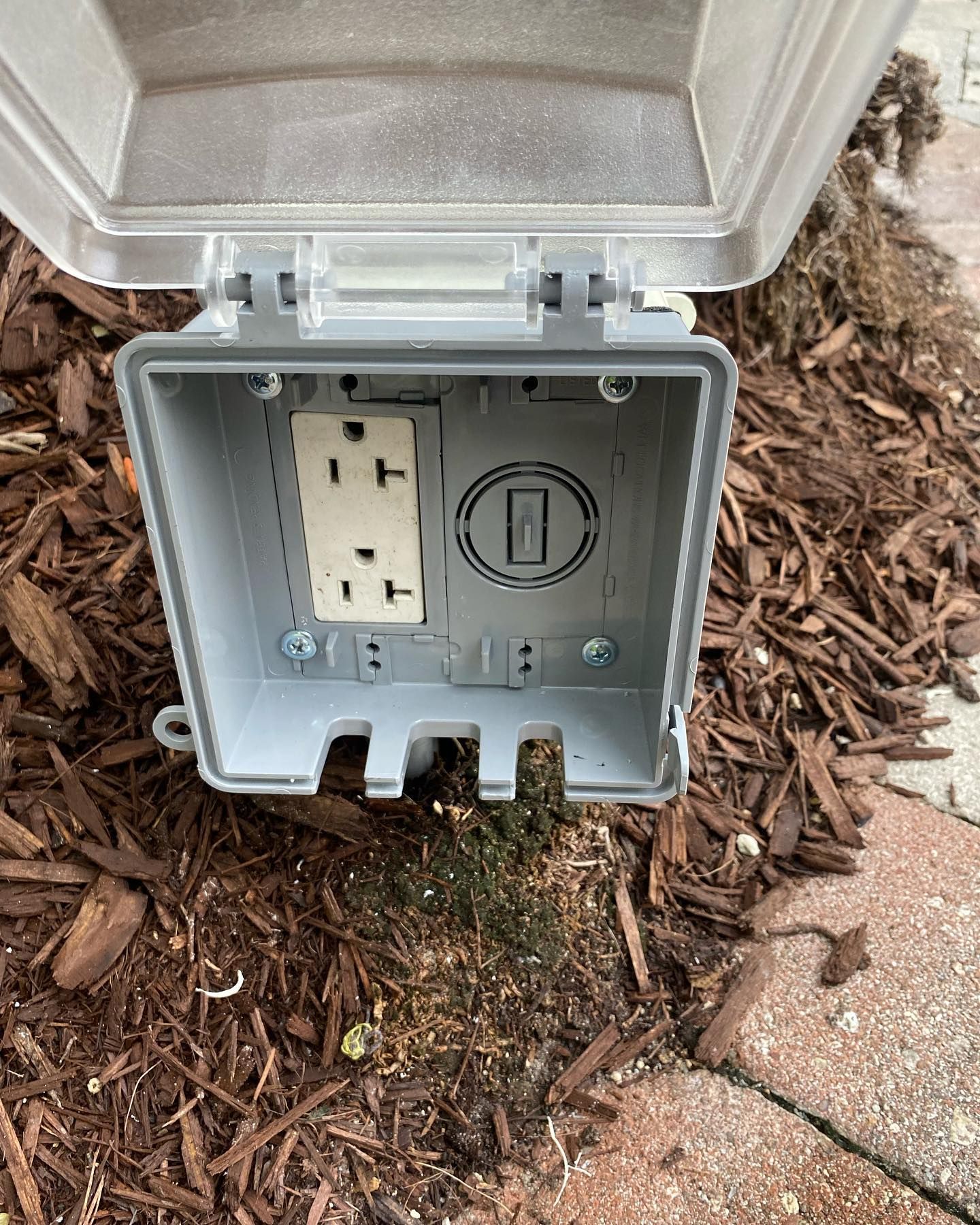 Gray outdoor electrical outlet box with open clear cover, on mulch.