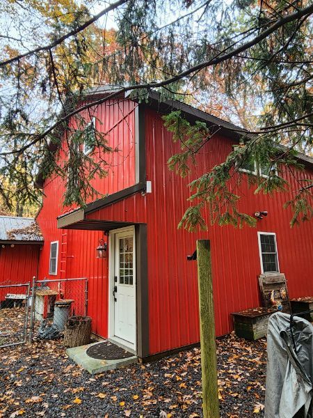 Red cabin with white door amid wet autumn leaves, framed by tree branches and a second red building nearby