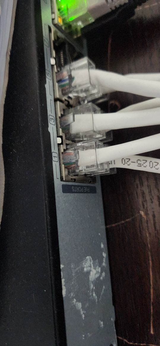 Close-up of Ethernet cables plugged into a gray network device beside a green status light