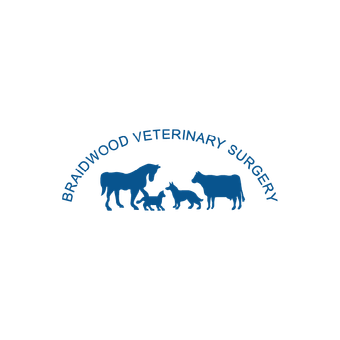 Braidwood Veterinary Surgery
