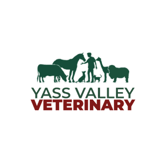 Yass Valley Veterinary 