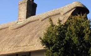 Specialised thatching