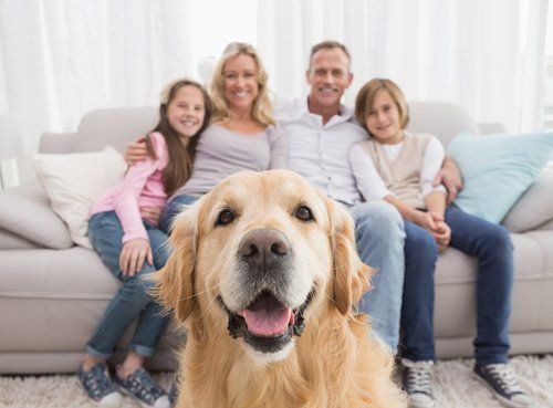 Family with Golden Retriever — Bucks County, PA — Ranniello Inc.