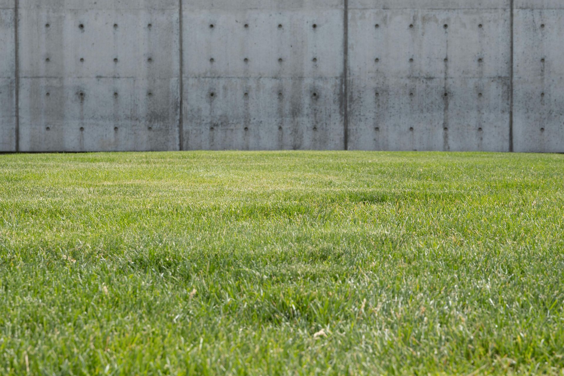 A lush green field of grass in front of a concrete wall.