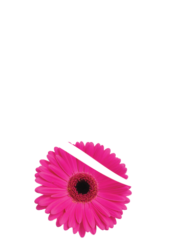 a pink flower with a black center with white text that says L45 