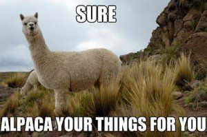 Alpaca Your Things For You Logo — Court Beloit, WI — Christofferson Moving & Storage