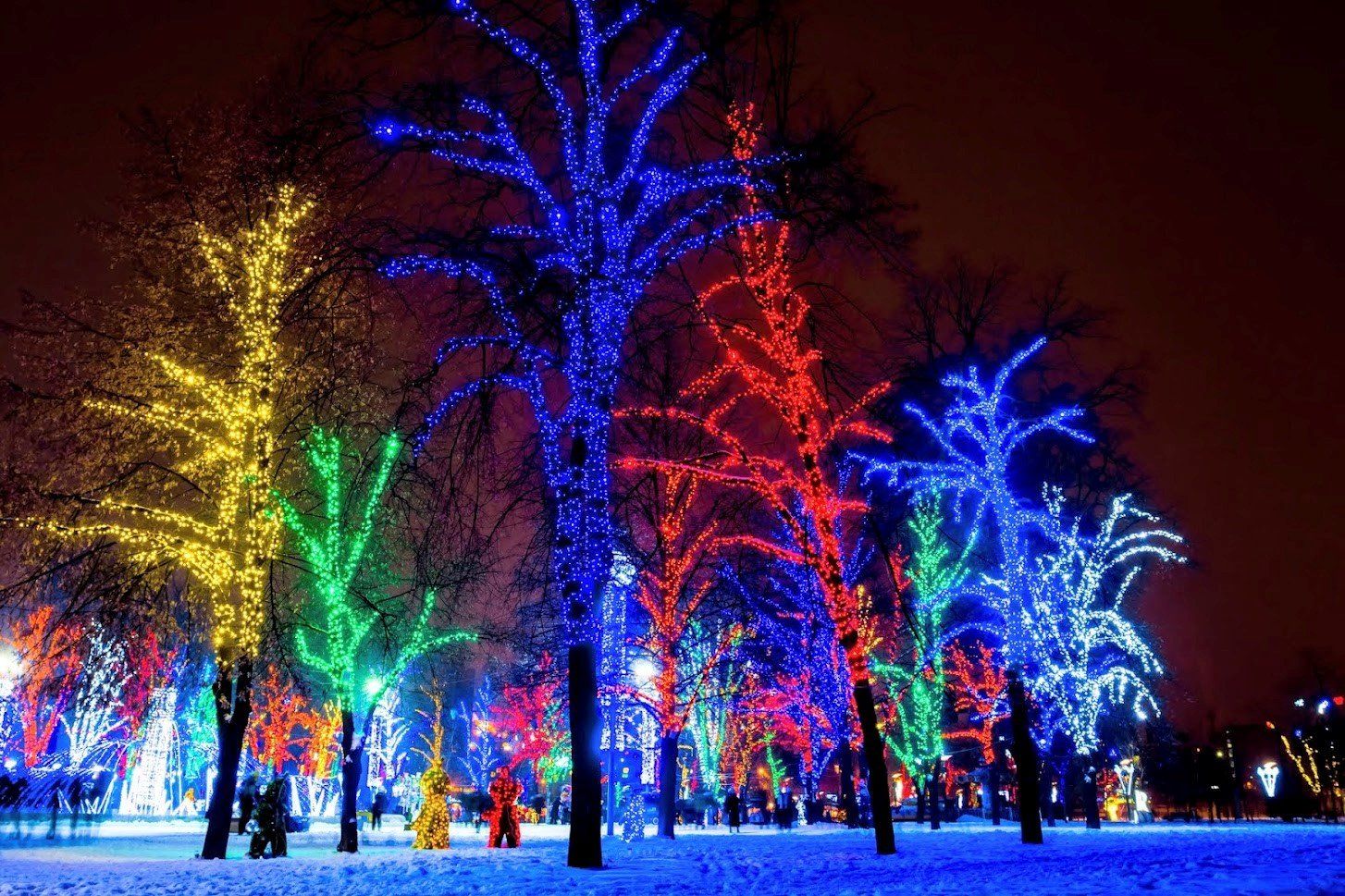 Park with Christmas Lights — Court Beloit, WI — Christofferson Moving & Storage