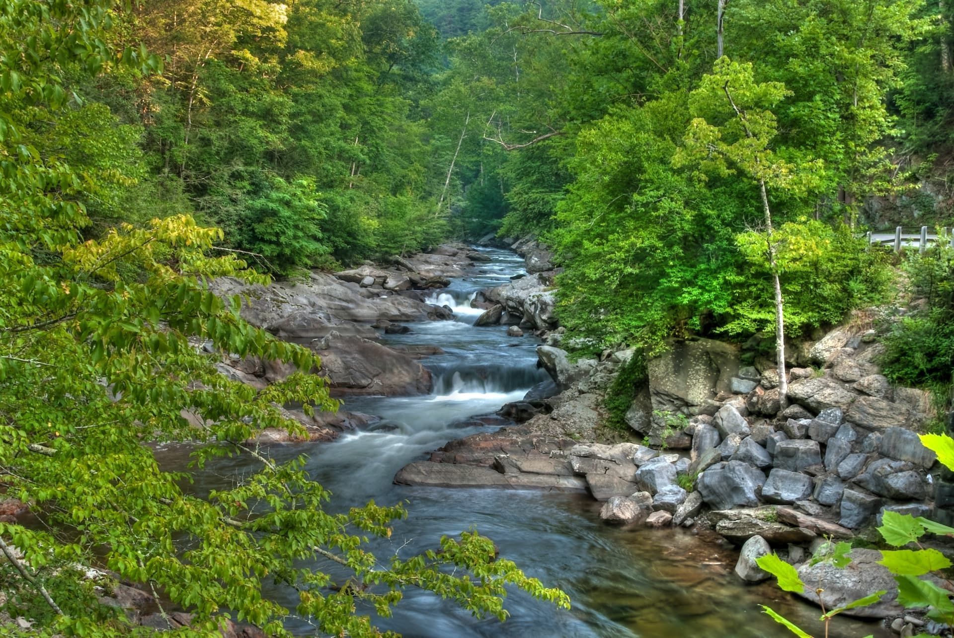 A rocky river flows through a lush green forest.