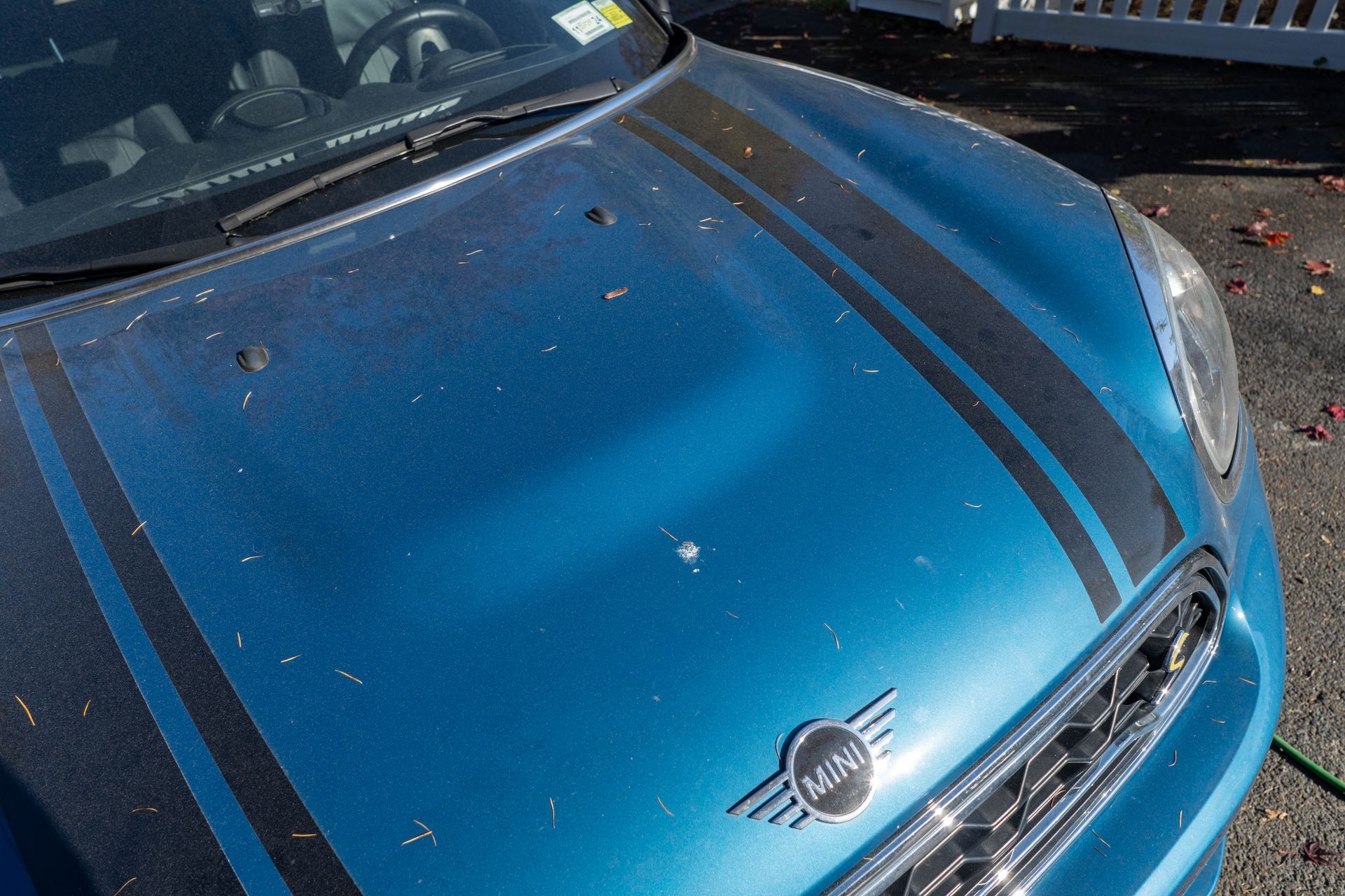 A blue mini cooper with black stripes on the hood