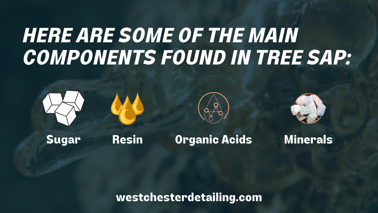 a poster that says here are some of the main components found in tree sap