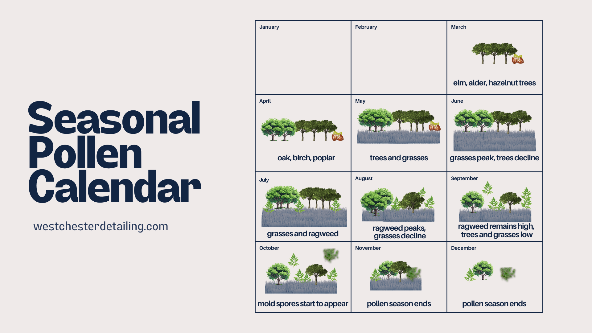 a poster for a seasonal pollen calendar with trees on it