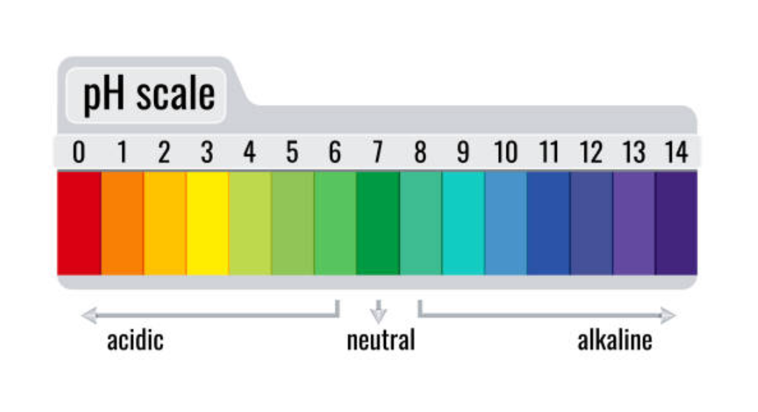 a rainbow colored ph scale with numbers from 0 to 14