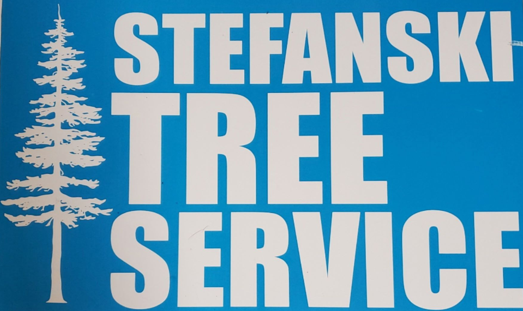 Stefanski Tree Service