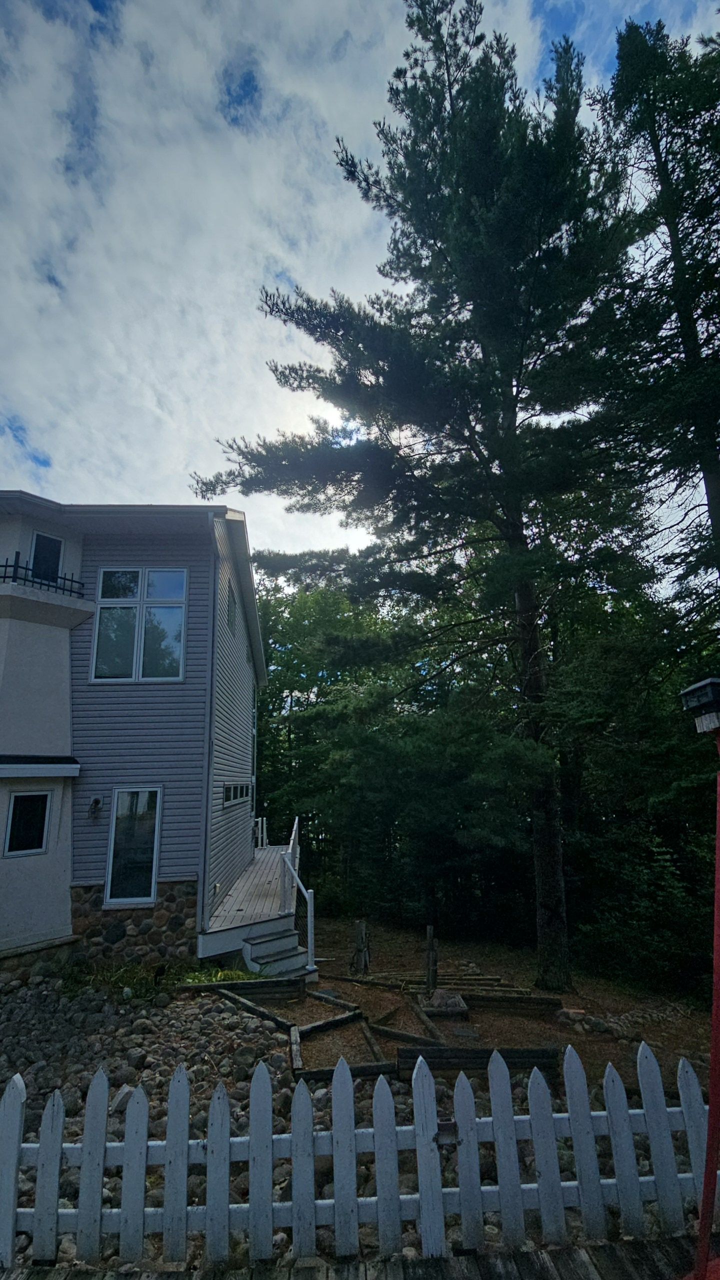 A tall tree next to a house with a picket fence under a cloudy sky.