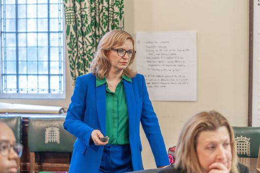 International coach, facilitator and trainer, Kate Faragher giving a session at Westminster to officials from Commonwealth countries