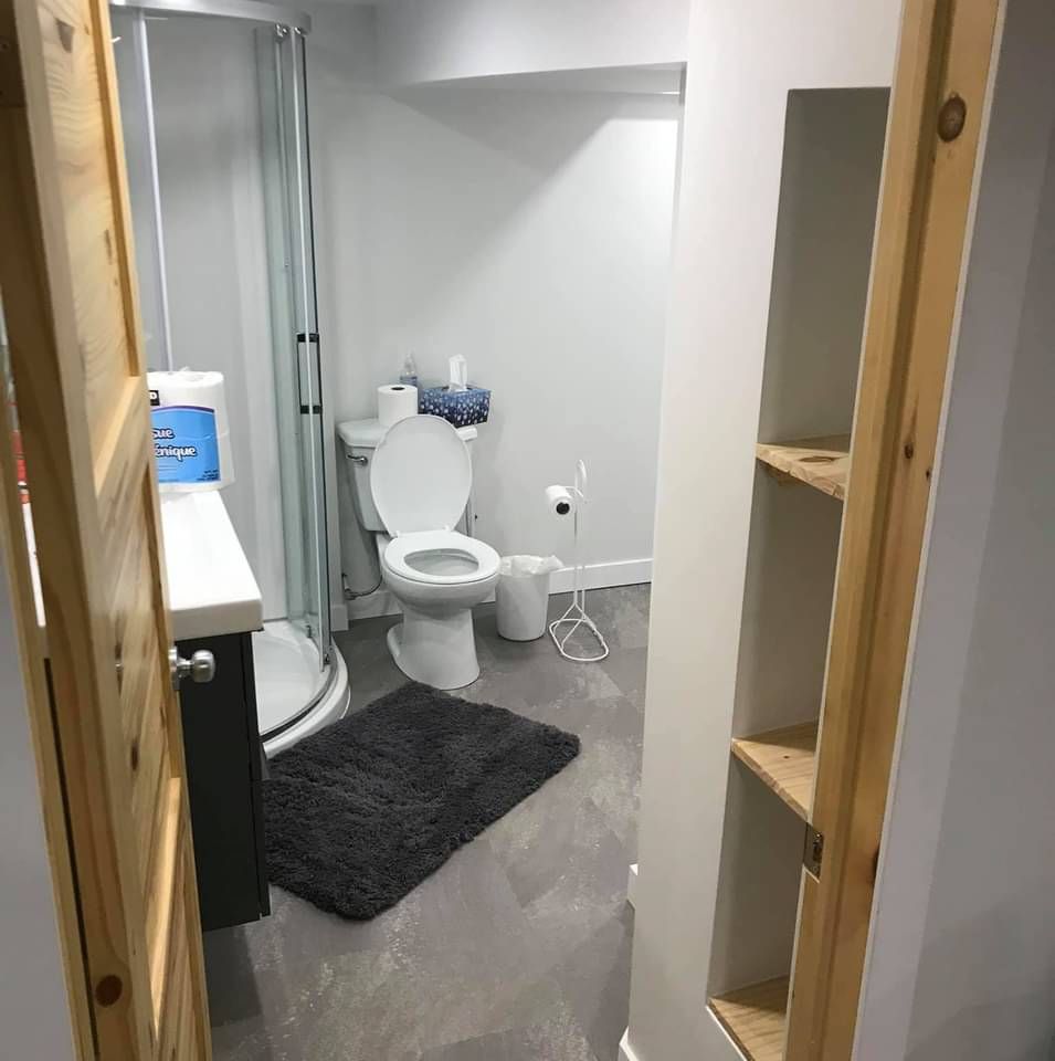 Salle de bain avec porte ouverte, toilettes, douche, murs blancs, tapis gris et étagères intégrées.